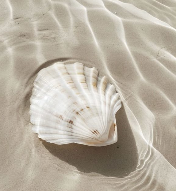 Morska so: Prirodni saveznik zdravlja i vitalnosti